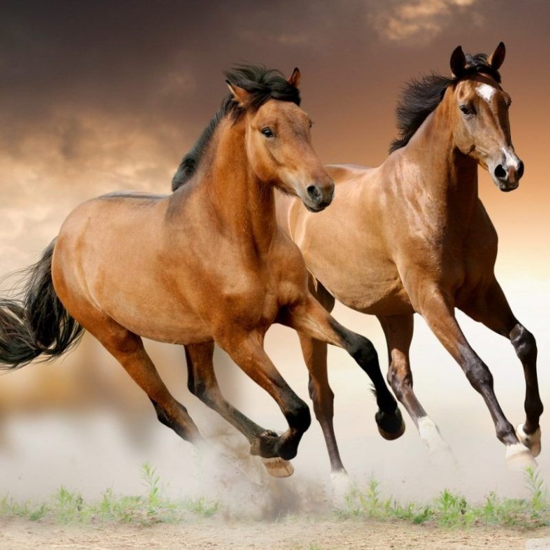 4. Màu đá cần tránh